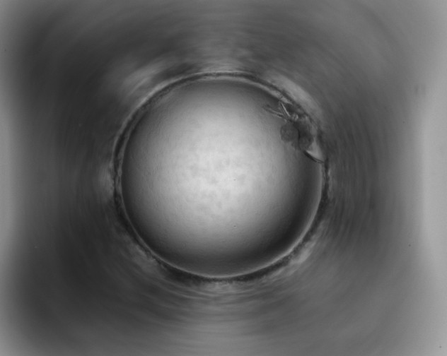 X0000092221212200709141038