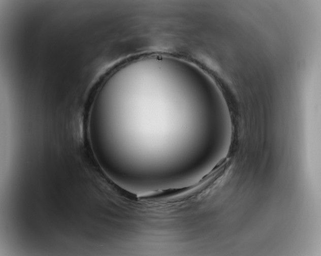 X0000092221214200709141038