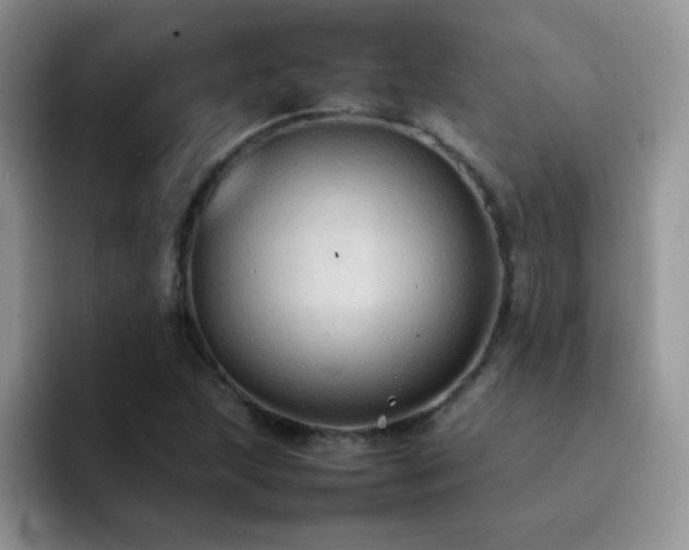 X0000092221215200709141038