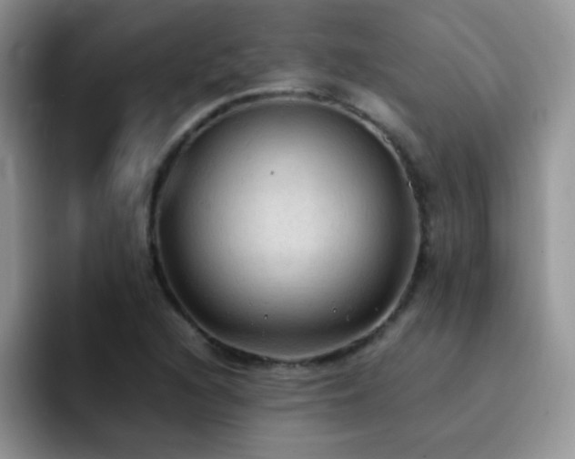 X0000092221216200709141038