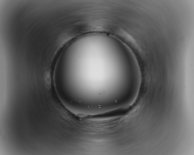 X0000092221218200709141038