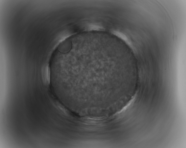 X0000092221219200709141038