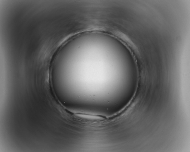 X0000092221220200709141038
