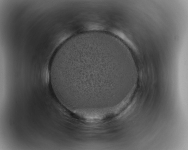 X0000092221221200709141038