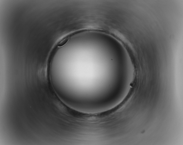 X0000092221222200709141038
