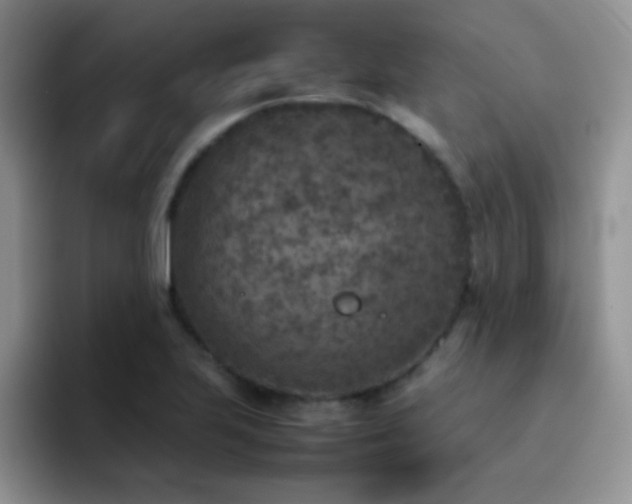 X0000092221223200709141038