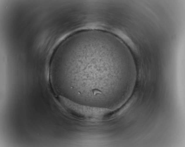 X0000092221224200709141038