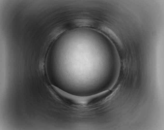 X0000092221225200709141038