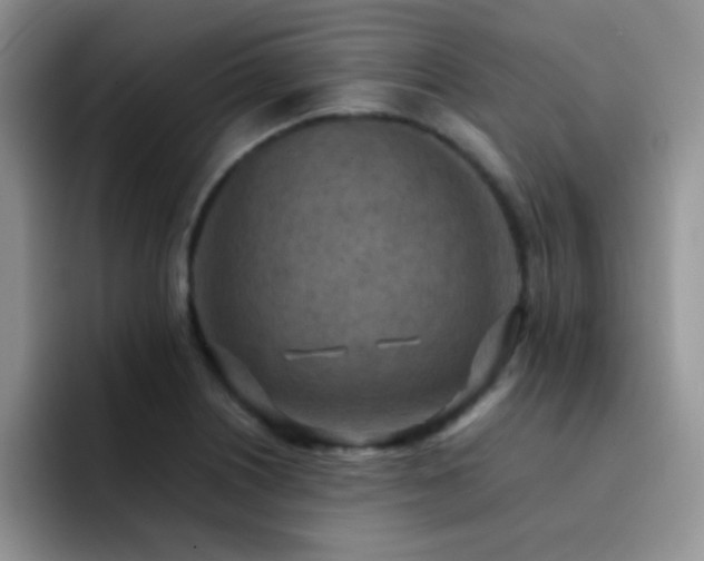 X0000092221226200709141038