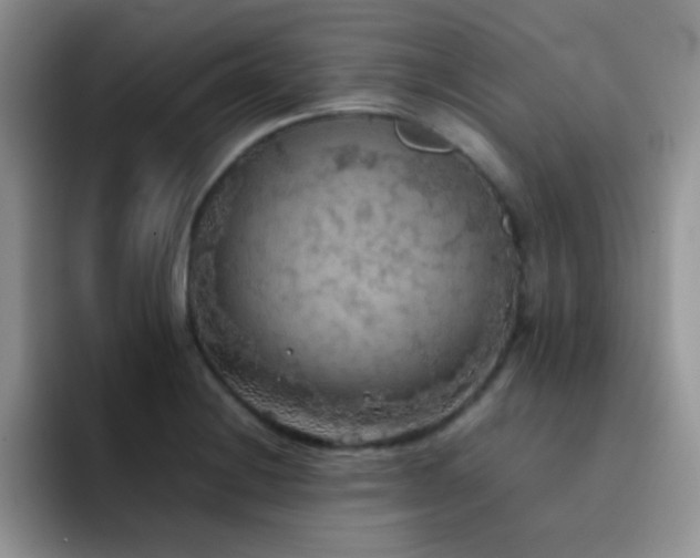 X0000092221228200709141038