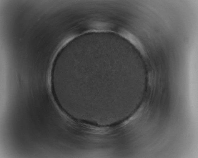 X0000092221229200709141038
