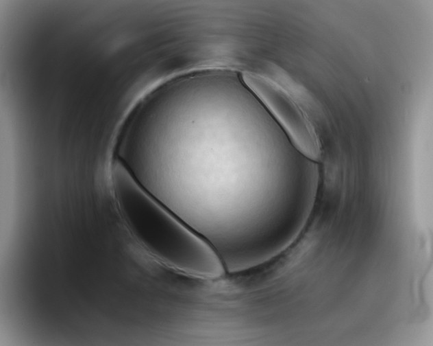 X0000092221230200709141038