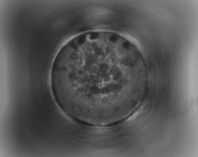 X0000092221231200709141038
