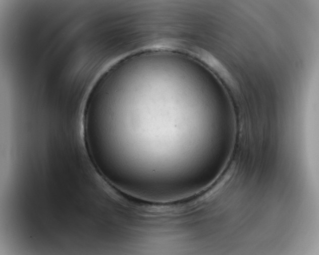 X0000092221232200709141038