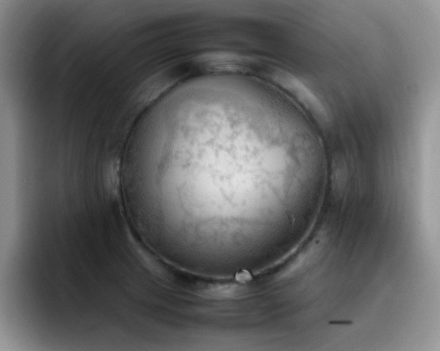 X0000092221233200709141038