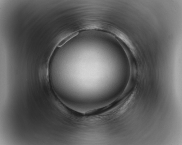 X0000092221234200709141038