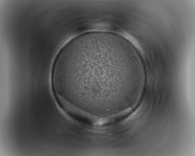 X0000092221237200709141038