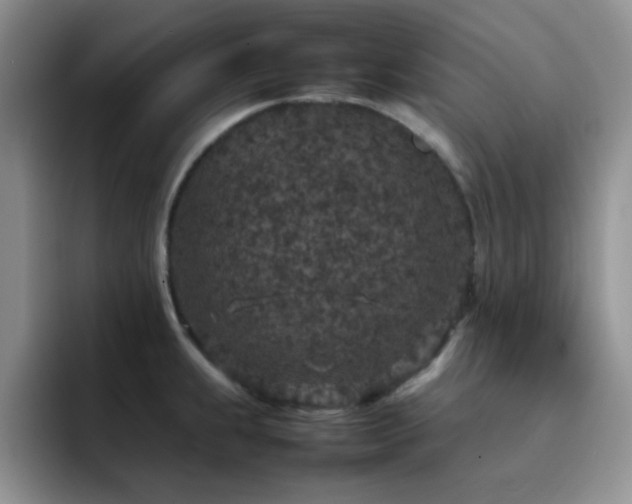 X0000092221239200709141038