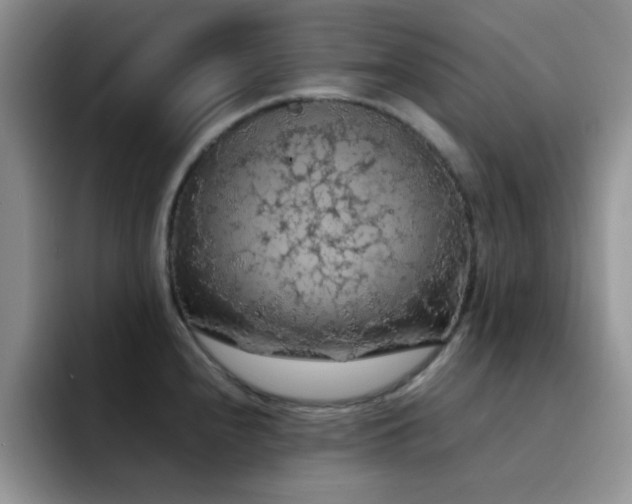 X0000092221240200709141038
