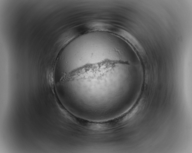 X0000092221241200709141038