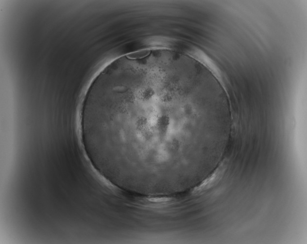 X0000092221243200709141038