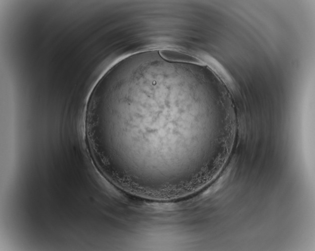 X0000092221244200709141038