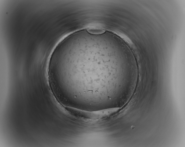 X0000092221248200709141038
