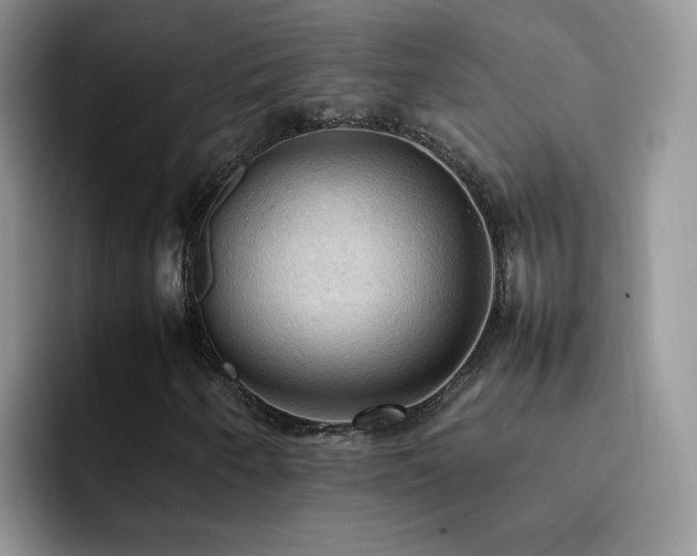 X0000092221250200709141038