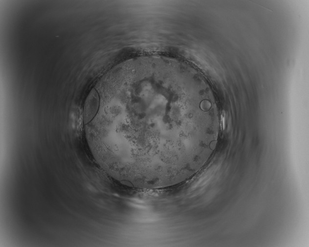 X0000092221251200709141038