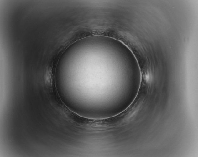 X0000092221252200709141038