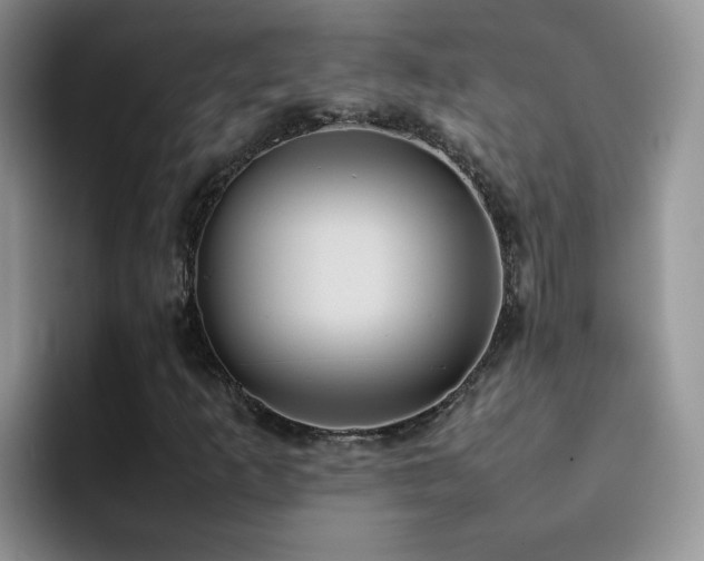 X0000092221253200709141038