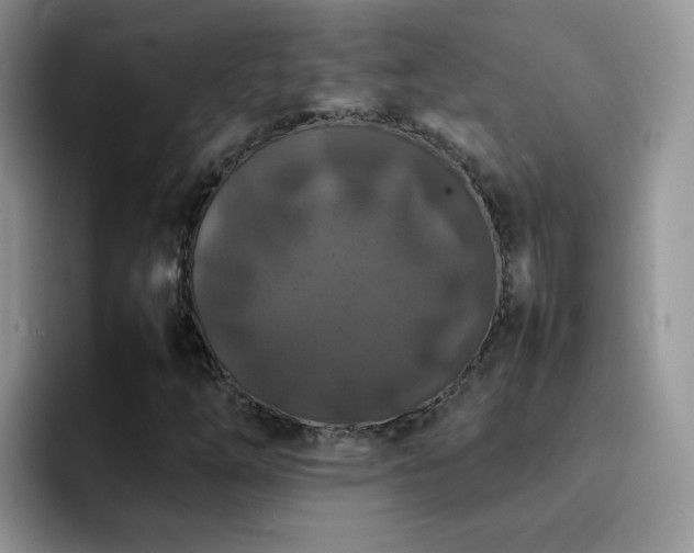 X0000092221254200709141038