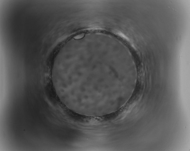 X0000092221255200709141038