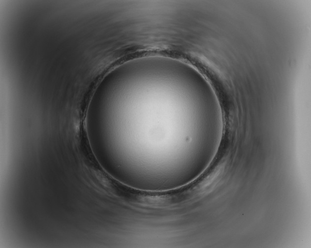 X0000092221257200709141038