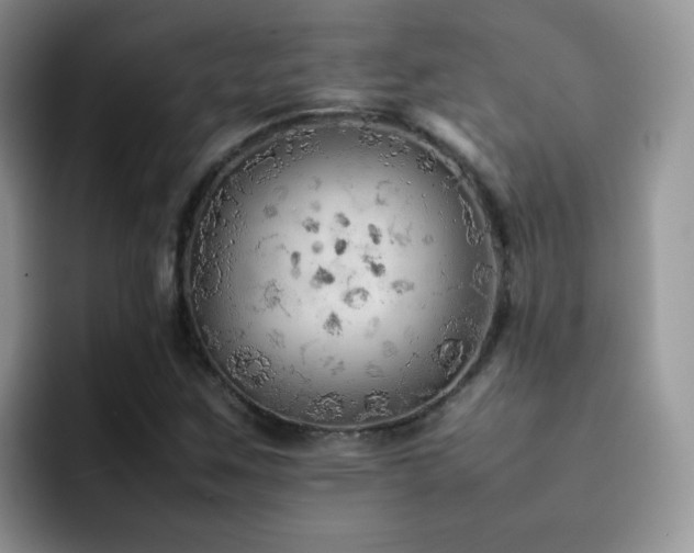 X0000092221259200709141038