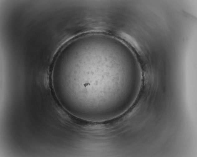 X0000092221260200709141038
