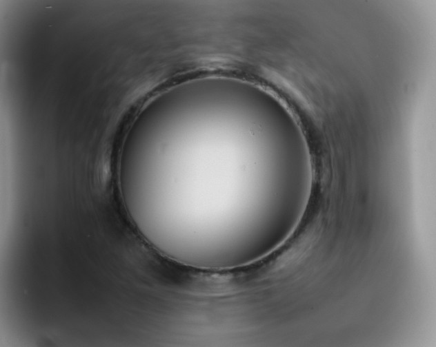 X0000092221261200709141038