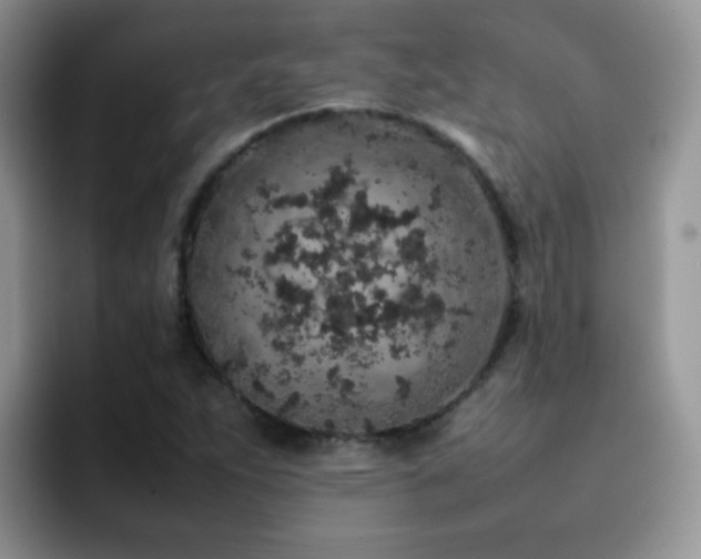 X0000092221263200709141038