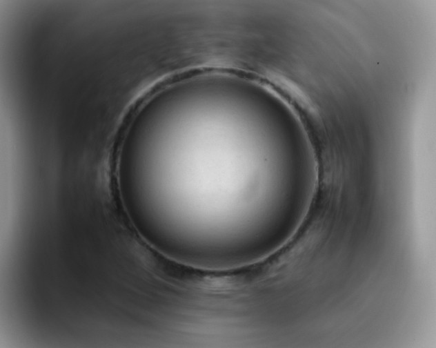 X0000092221264200709141038