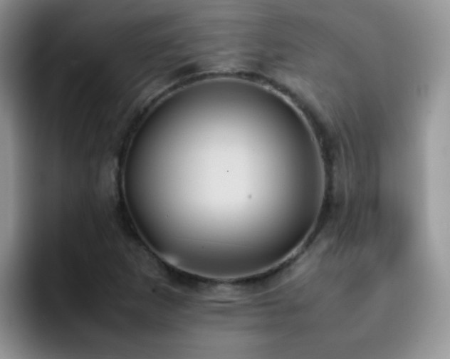 X0000092221265200709141038