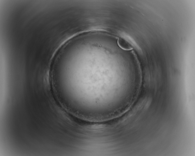 X0000092221268200709141038