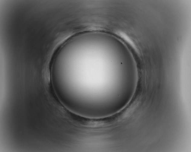 X0000092221269200709141038