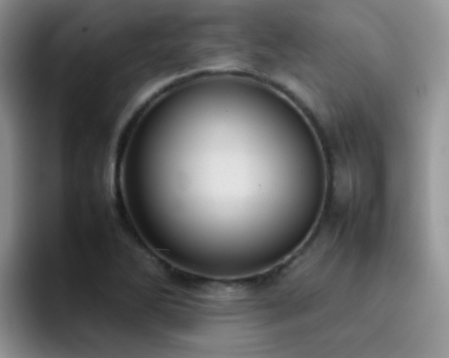 X0000092221270200709141038