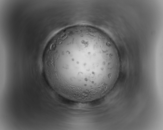 X0000092221271200709141038