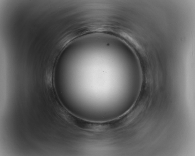 X0000092221273200709141038