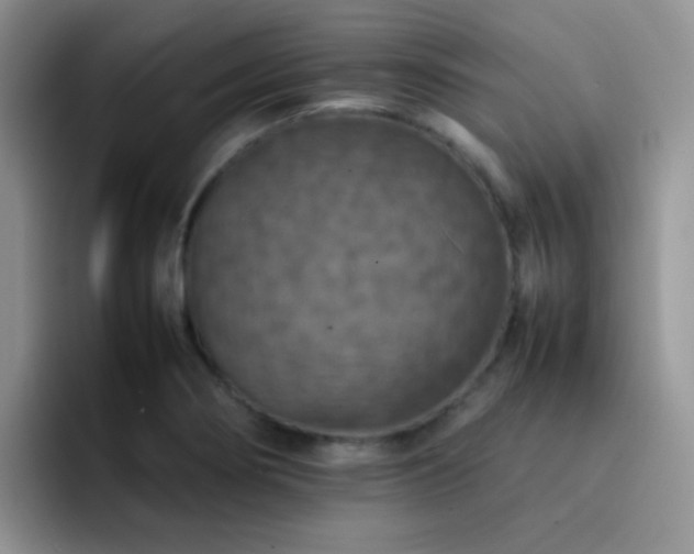 X0000092221274200709141038