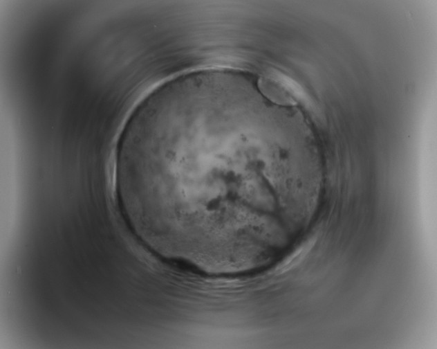X0000092221275200709141038