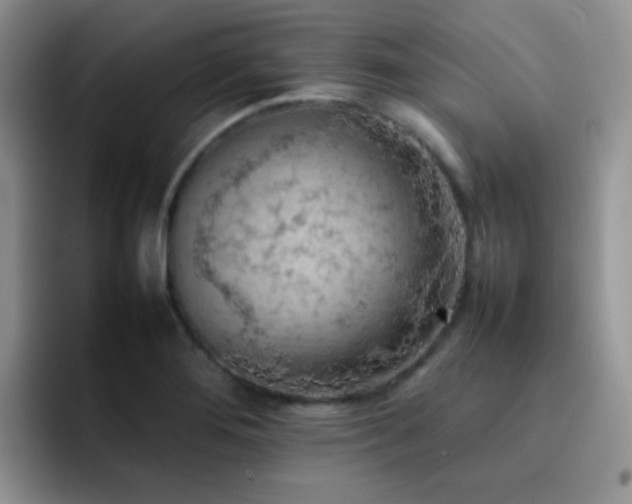 X0000092221276200709141037