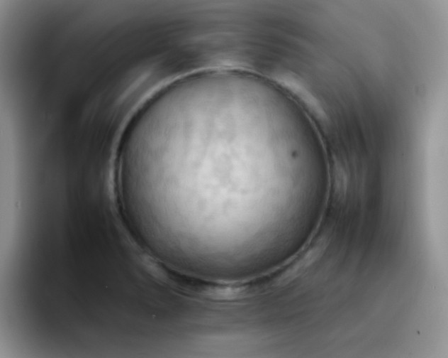X0000092221278200709141037