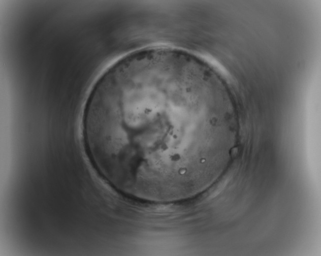 X0000092221279200709141037